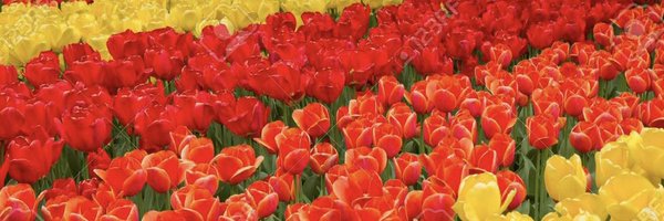 EgeAnne Profile Banner