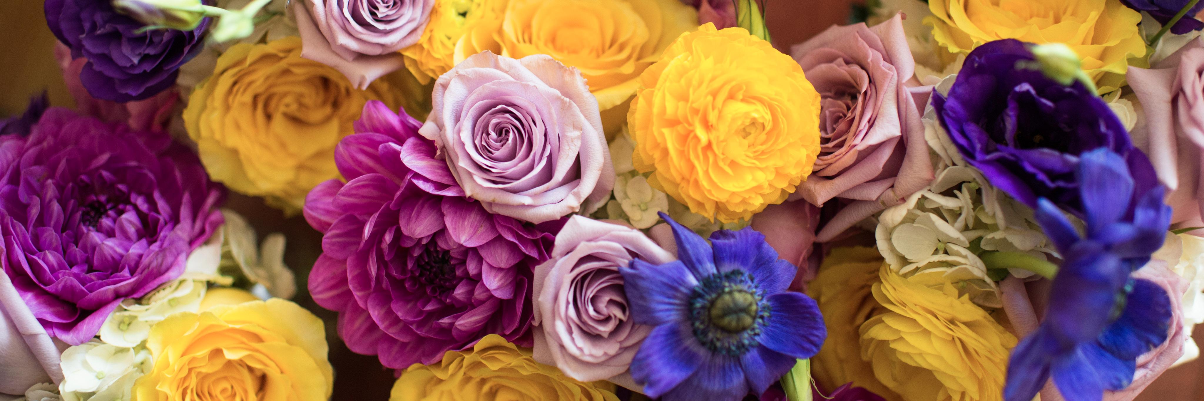 Brooks_OSE's profile banner image