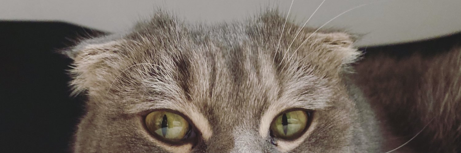 senemclskn's profile banner image