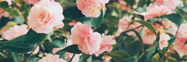 astillwell3's profile banner image