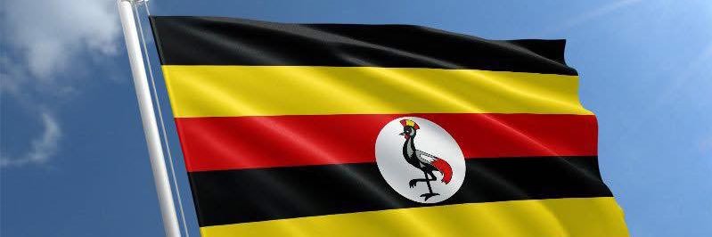 Nva Wakiso banner