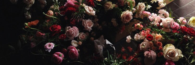 swtblvr_'s profile banner image