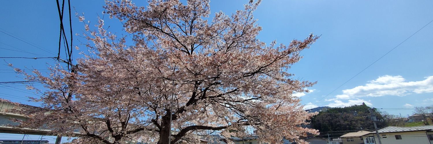 SuperSuperWave's profile banner image