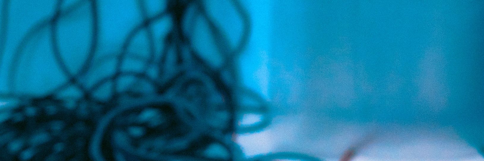 De 🔞 | HIATUS banner