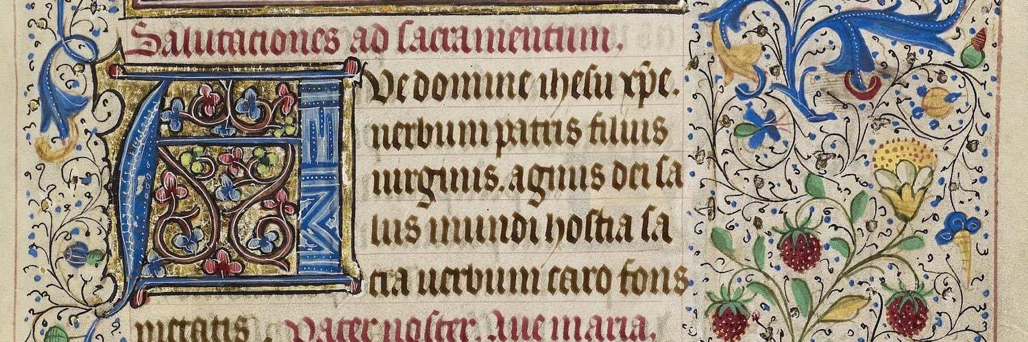 • adieualle | sir bugsalot • #bugtwt's banner