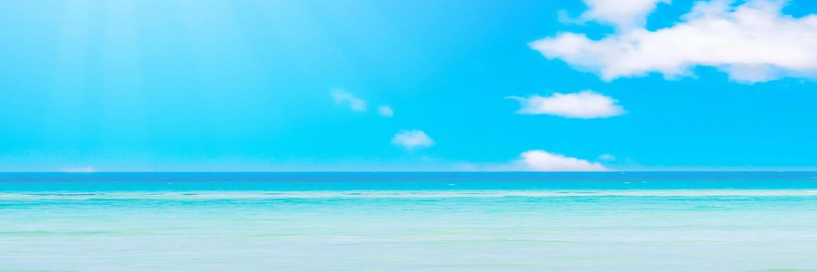 🏖 VACATION JASON? 🍍 banner