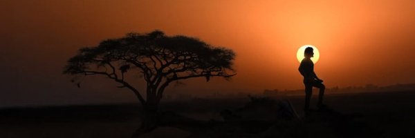 filmyentity Profile Banner