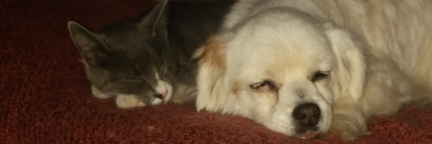 𝕳𝖊𝖗𝖓𝖆𝖓 banner