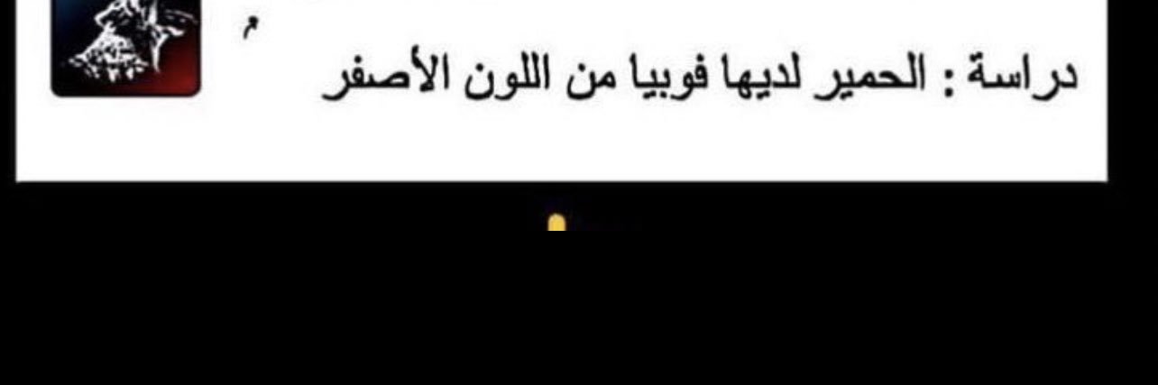 دمي اصفر banner