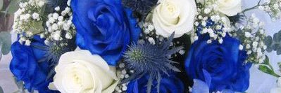 شهد🌸💫💙🤍 banner