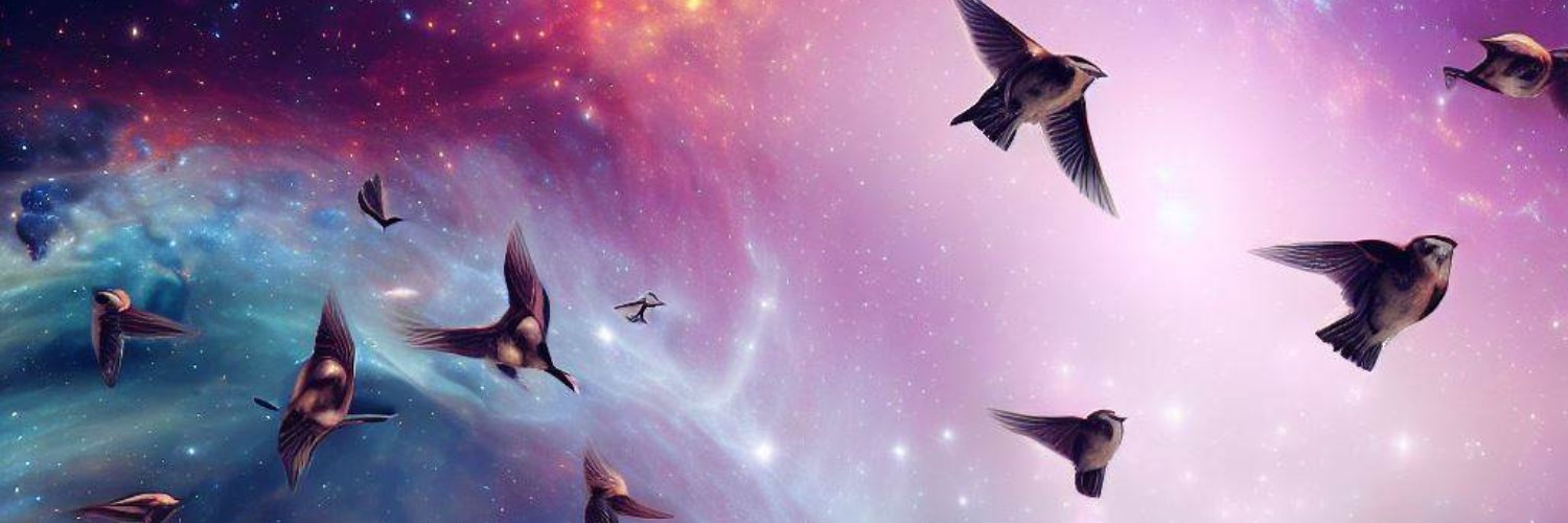 Sparrows Vid's banner