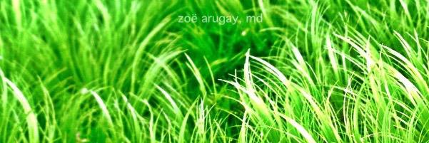 zoearugaymd's profile banner image