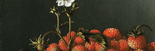 LouiseOFresco Profile Banner