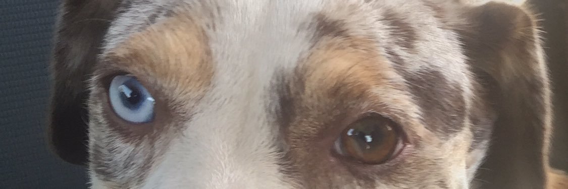 KELE35's profile banner image