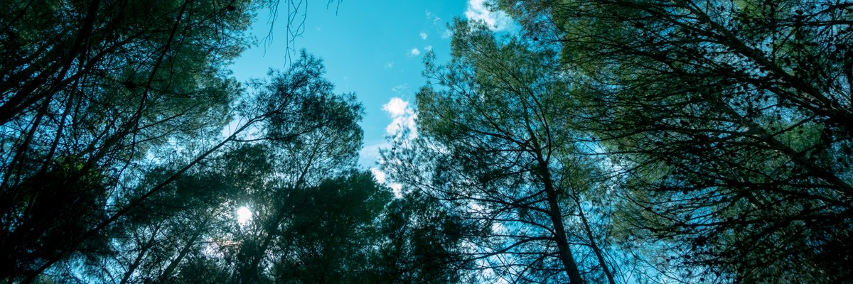 AidaferUre's profile banner image