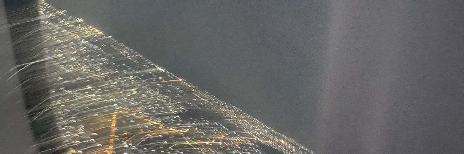 WESTPHIX SHIPPING SERVICES banner