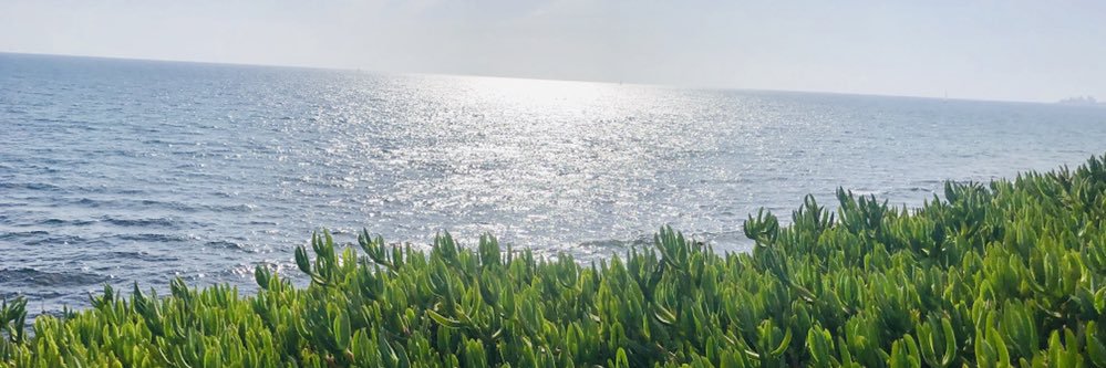 SWanitschke's profile banner image