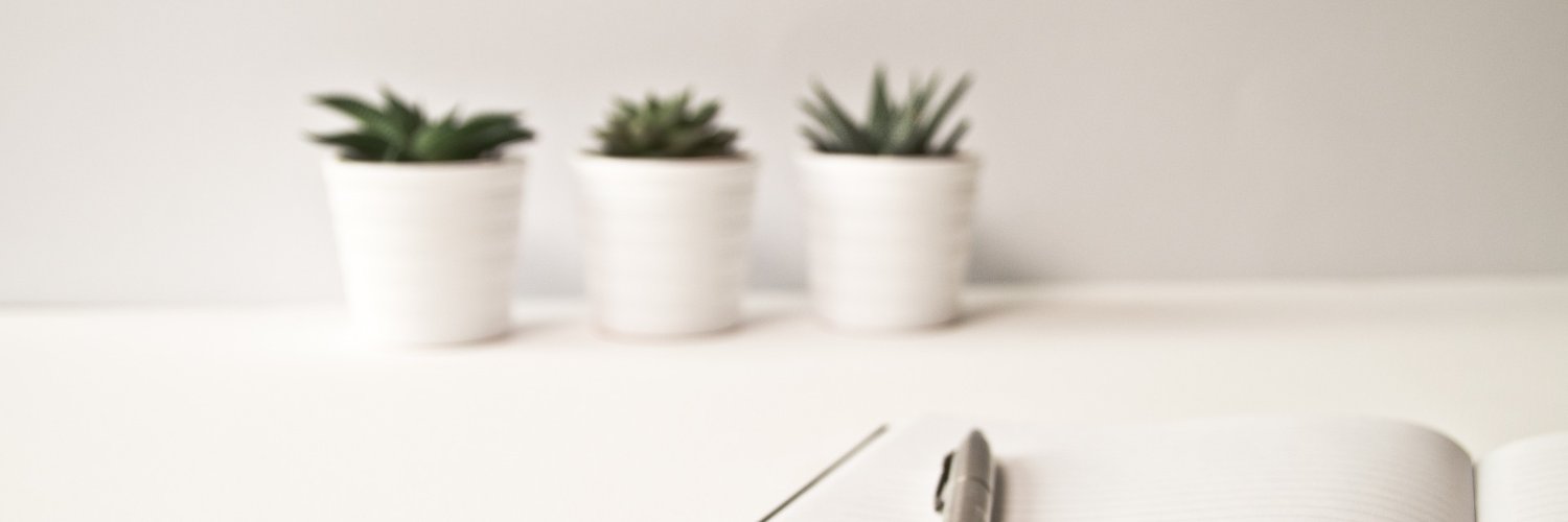 AnnePapmehl's profile banner image
