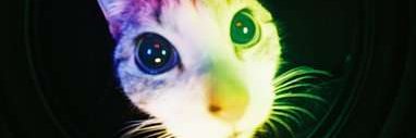 jack 😪 banner