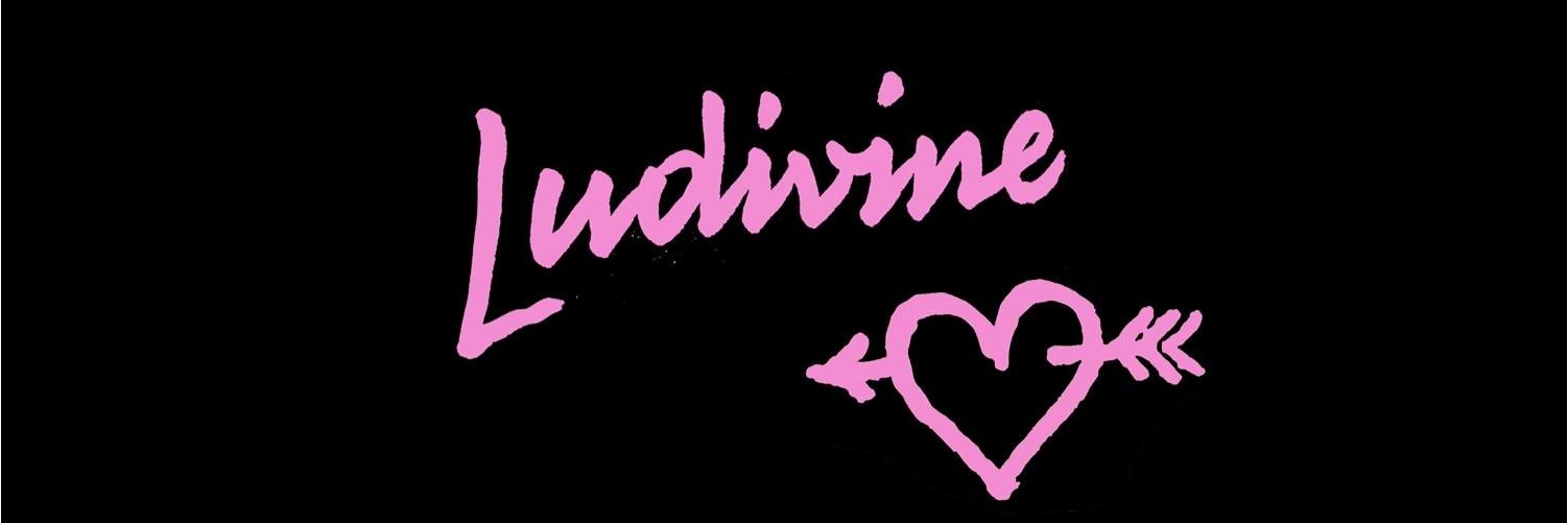 Ludivinecc's profile banner image