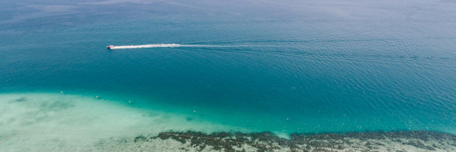 ziul91's profile banner image