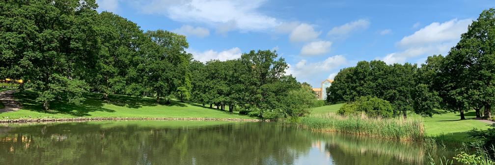 Mads Rosendahl Thomsen banner