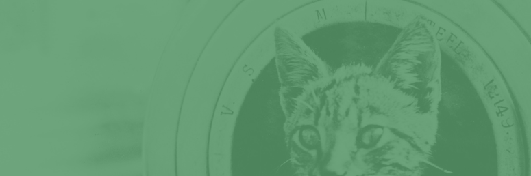 worketer's profile banner image