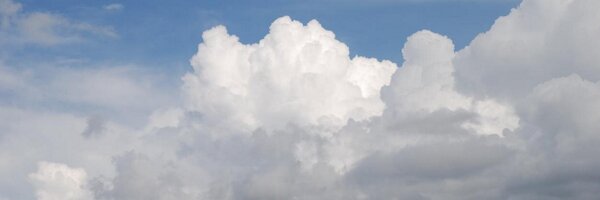 coolkiddo Profile Banner