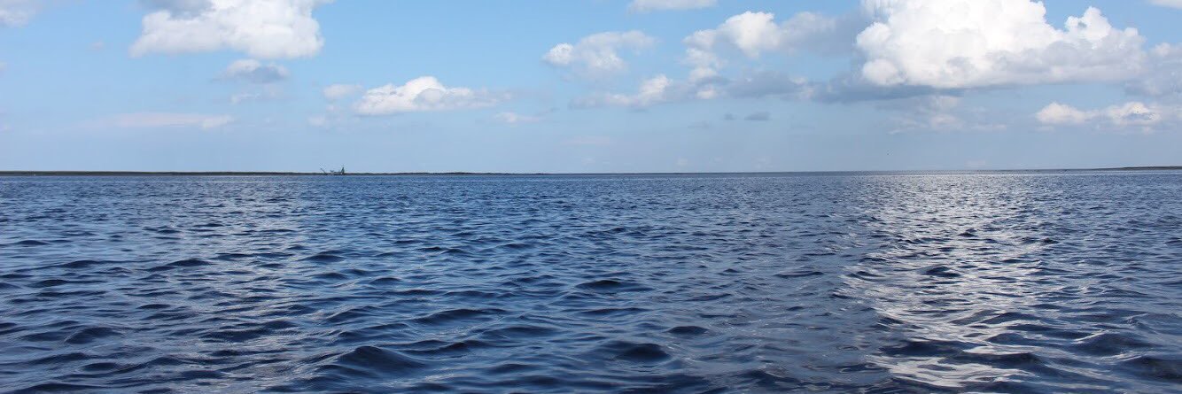 maureenktang's profile banner image