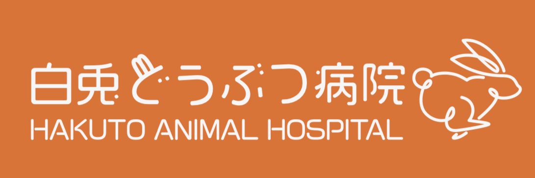 長尾 大喜@白兎どうぶつ病院's banner