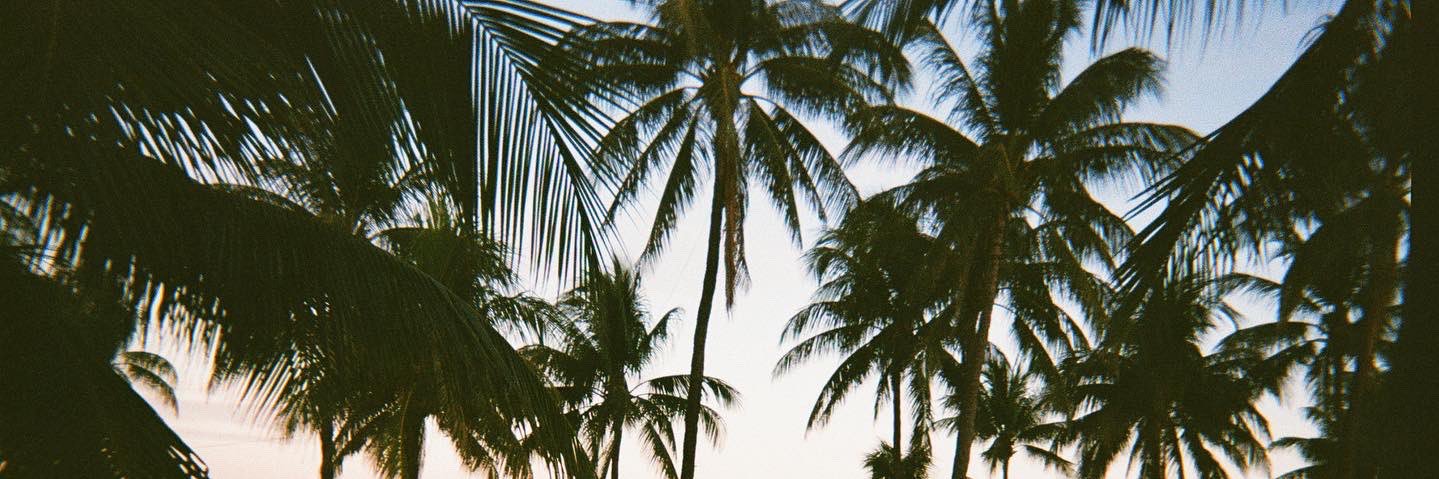 yanimarie_'s profile banner image