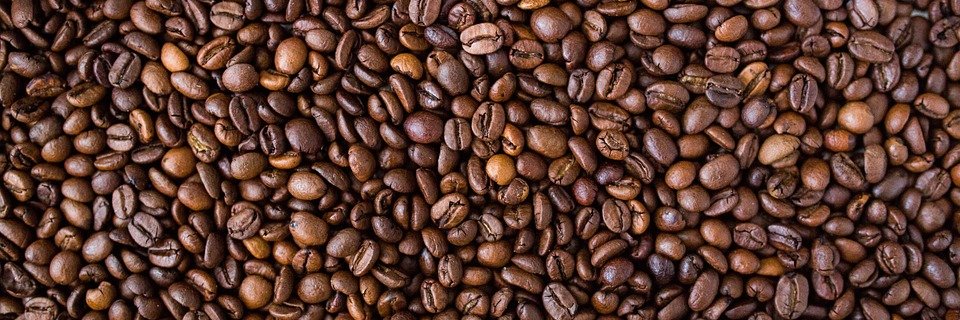 justcausecoffee's profile banner image