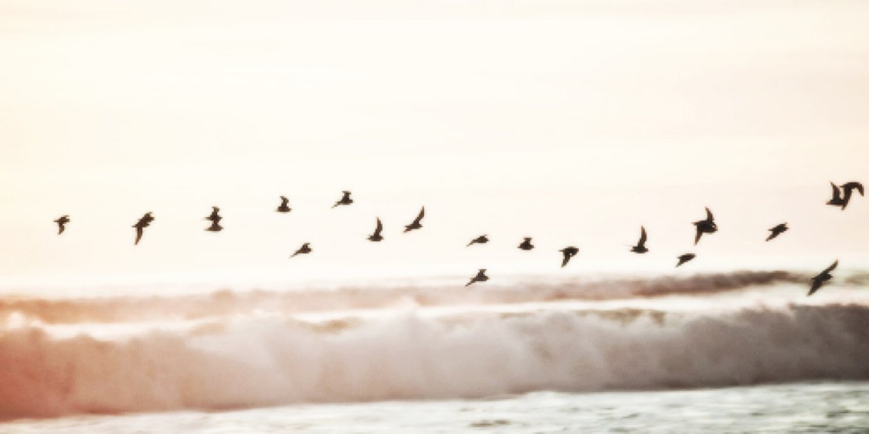 16hrry's profile banner image