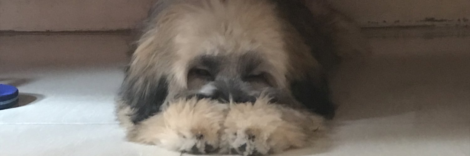 claudecastroo's profile banner image