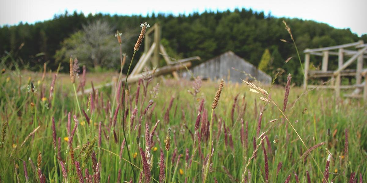 floristeady's profile banner image