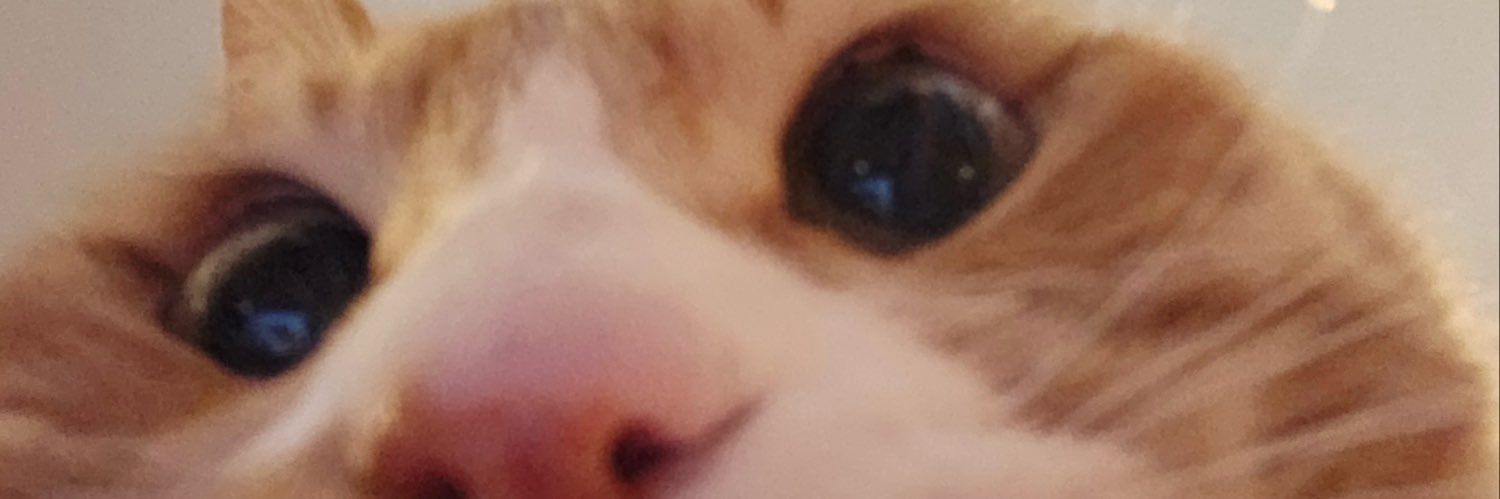 knowvelyy's profile banner image
