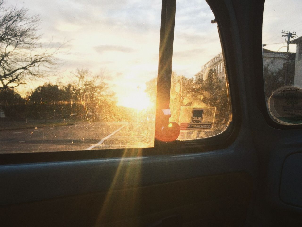 lexi_dowling's profile banner image