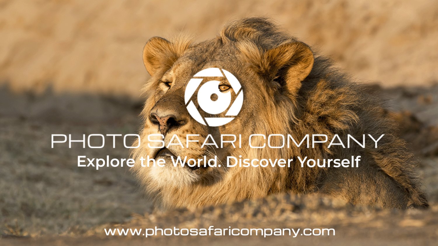 Photo Safari Company banner
