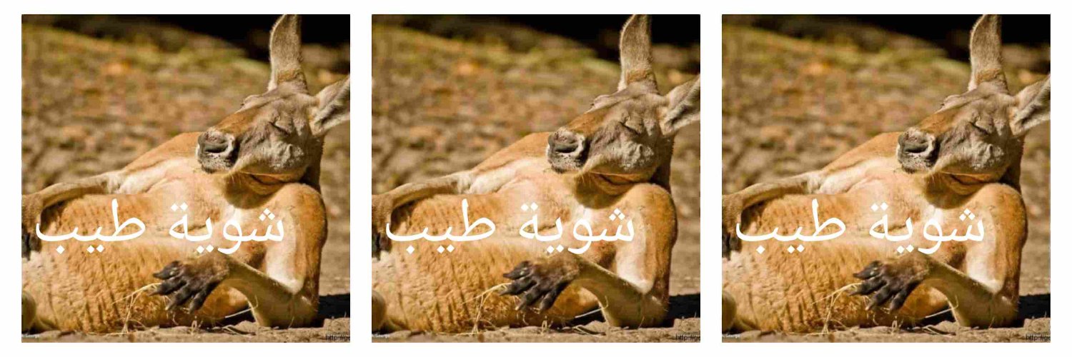 Hussein_A_sayed's profile banner image