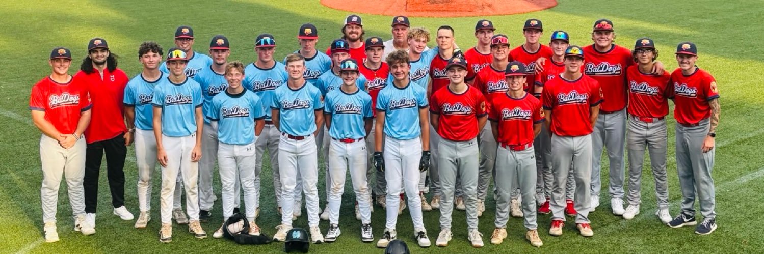 Ballpark Baseball Club banner