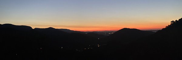 pedroroser Profile Banner