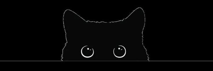 d🌙 banner