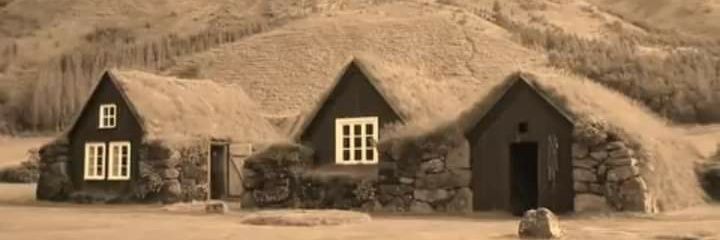 Teddylee Gray 🇯🇲 banner