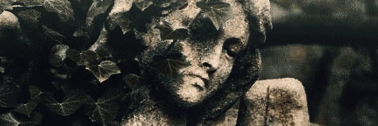 — 𝐄𝐋𝐕𝐀. banner