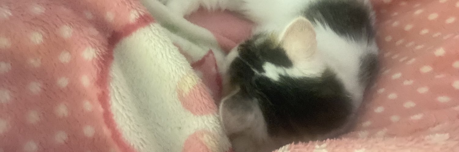 nE🥯 banner