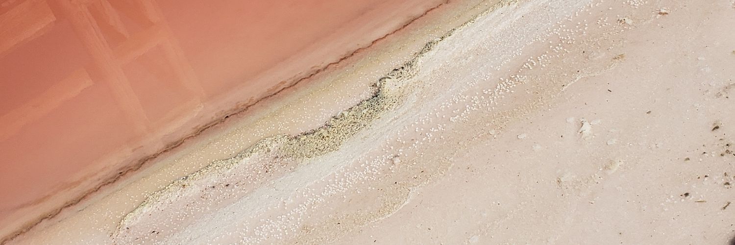 Khuloud Odeh 🇵🇸 banner