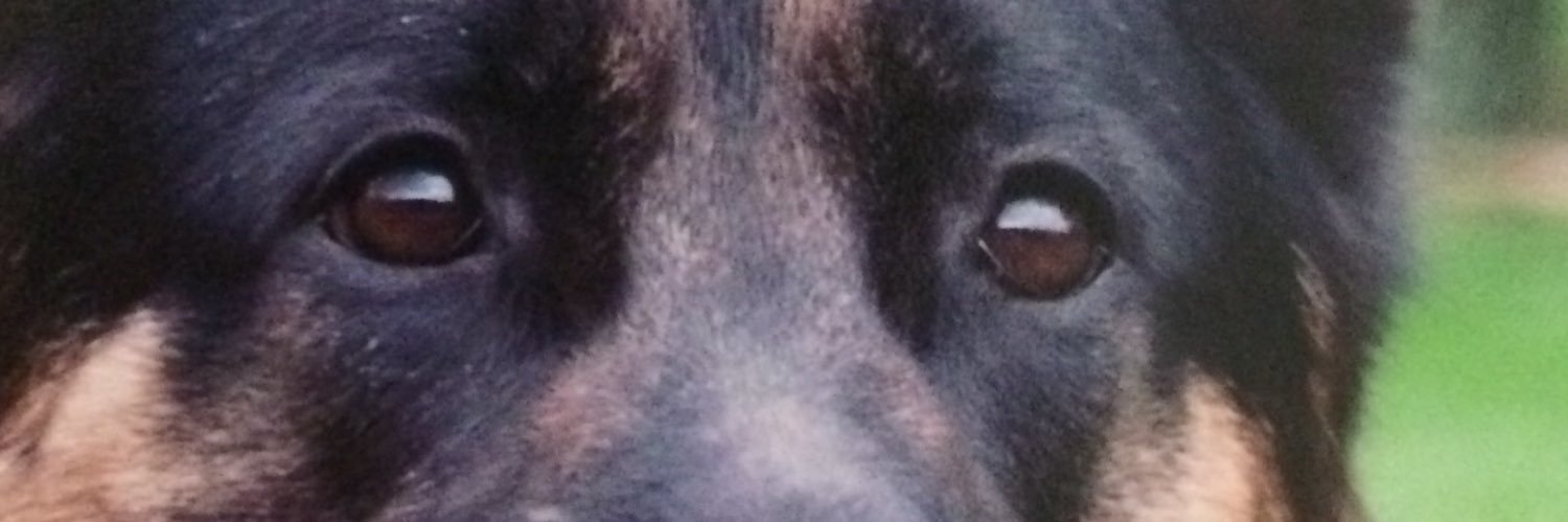 LisaWWelsted's profile banner image