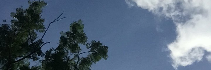 treyaagustine's profile banner image