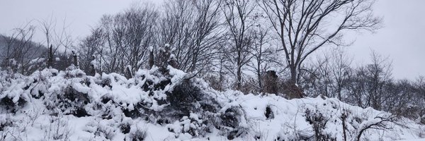 bipahyang Profile Banner