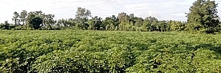 pinn78445's profile banner image